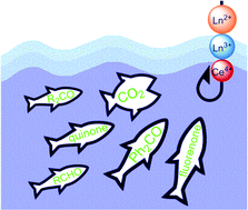 Graphical abstract: Carbonyl group and carbon dioxide activation by rare-earth-metal complexes