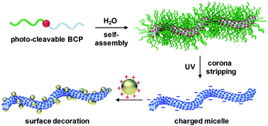 Graphical abstract: Naked micelles: well-defined polymer nanoparticles from photo-cleavable block copolymer micelles