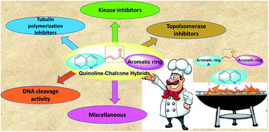 Graphical abstract: Molecular targets and anticancer activity of quinoline–chalcone hybrids: literature review