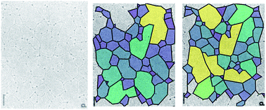 Graphical abstract: Simplified computational model for generating biological networks