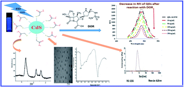 Graphical abstract: Retracted Article: Highly sensitive cadmium sulphide quantum dots as a fluorescent probe for estimation of doripenem in real human plasma: application to pharmacokinetic study