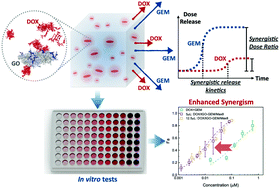 Graphical abstract: Modified gaphene oxide (GO) particles in peptide hydrogels: a hybrid system enabling scheduled delivery of synergistic combinations of chemotherapeutics