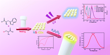 Graphical abstract: Electrochemiluminescence of water-dispersed nitrogen and sulfur doped carbon dots synthesized from amino acids