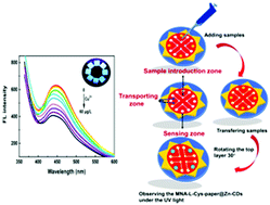 Graphical abstract: Anchoring zinc-doped carbon dots on a paper-based chip for highly sensitive fluorescence detection of copper ions