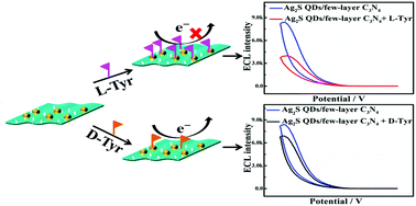 Graphical abstract: Electrochemiluminescent chiral discrimination with chiral Ag2S quantum dots/few-layer carbon nitride nanosheets