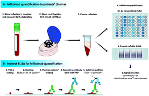 Graphical abstract: Accurate and rapid microfluidic ELISA to monitor Infliximab titers in patients with inflammatory bowel diseases