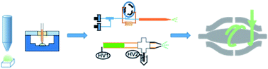 Graphical abstract: Recent technical progress in sample preparation and liquid-phase separation-mass spectrometry for proteomic analysis of mass-limited samples