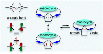Graphical abstract: Long-lived localised singlet diradicaloids with carbon–carbon π-single bonding (C–π–C)