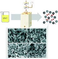 Graphical abstract: Supercritical hydrothermal synthesis of UO2+x: stoichiometry, crystal shape and size, and homogeneity observed using 23Na-NMR spectroscopy of (U, Na)O2+x