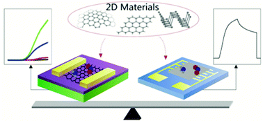 Graphical abstract: A review on two-dimensional materials for chemiresistive- and FET-type gas sensors