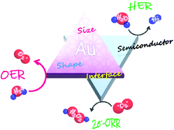 Graphical abstract: Rational design for gold nanoparticle-based plasmonic catalysts and electrodes for water oxidation towards artificial photosynthesis