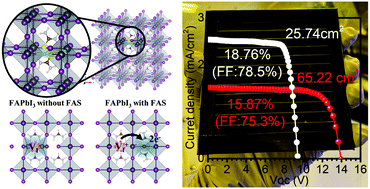 Graphical abstract: Formamidine disulfide oxidant as a localised electron scavenger for >20% perovskite solar cell modules