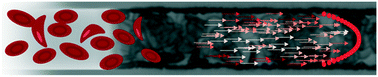 Graphical abstract: Feature tracking microfluidic analysis reveals differential roles of viscosity and friction in sickle cell blood