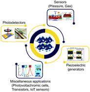 Graphical abstract: Organolead halide perovskites beyond solar cells: self-powered devices and the associated progress and challenges