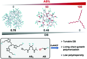 Graphical abstract: Chain-growth click copolymerization for the synthesis of branched copolymers with tunable branching densities