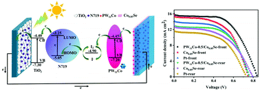 Graphical abstract: Polyoxometalate modified transparent metal selenide counter electrodes for high-efficiency bifacial dye-sensitized solar cells