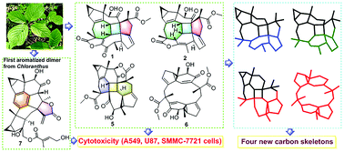 Graphical abstract: Nine sesquiterpenoid dimers with four unprecedented types of carbon skeleton from Chloranthus henryi var. hupehensis