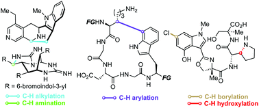 Graphical abstract: The application of C–H bond functionalization in the total syntheses of indole natural products