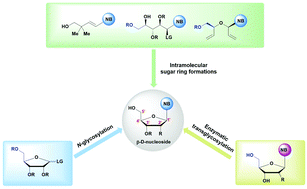 Graphical abstract: Chemical and chemoenzymatic stereoselective synthesis of β-nucleosides and their analogues