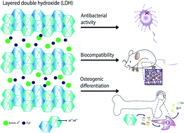 Graphical abstract: Layered double hydroxide-based nanocomposite scaffolds in tissue engineering applications