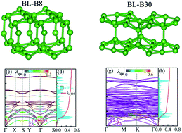 Graphical abstract: Prediction of superconductivity in bilayer borophenes