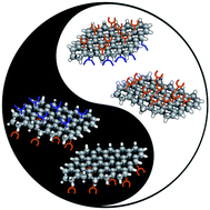 Graphical abstract: Janus 2D materials via asymmetric molecular functionalization