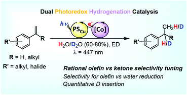 Graphical abstract: Light-driven reduction of aromatic olefins in aqueous media catalysed by aminopyridine cobalt complexes