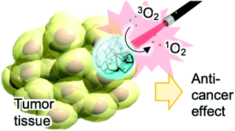 Graphical abstract: Photodynamic therapy using self-assembled nanogels comprising chlorin e6-bearing pullulan