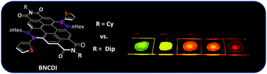 Graphical abstract: Tuning the aggregation behaviour of BN-coronene diimides with imide substituents and their performance in devices (OLEDs and OFETs)