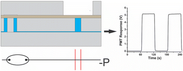 Graphical abstract: Automated cellular stimulation with integrated pneumatic valves and fluidic capacitors