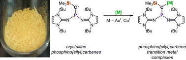 Graphical abstract: Crystalline phosphino(silyl)carbenes that readily form transition metal complexes