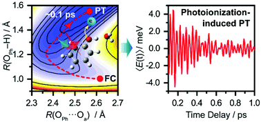 Graphical abstract: Ultrafast proton transfer of the aqueous phenol radical cation