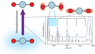 Graphical abstract: Photoelectron spectroscopy of cryogenically cooled NiO2−via slow photoelectron velocity-map imaging