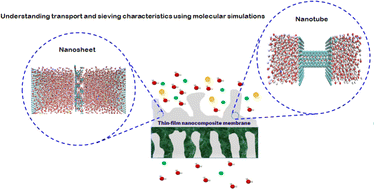 Graphical abstract: Molecular modeling of thin-film nanocomposite membranes for reverse osmosis water desalination