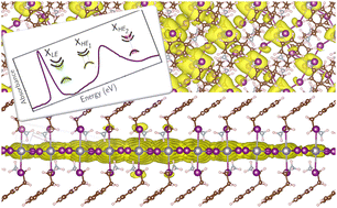 Graphical abstract: Plurality of excitons in Ruddlesden–Popper metal halides and the role of the B-site metal cation