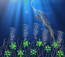 Graphical abstract: Synergistic compounding of carbon nanotubes and metal–organic frameworks for oxygen-evolving electrocatalysis