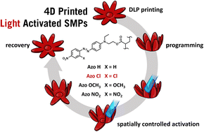 Graphical abstract: 4D printing of light activated shape memory polymers with organic dyes