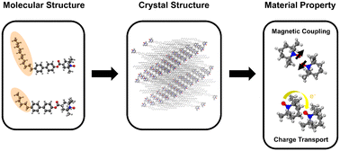 Graphical abstract: Charge transport and antiferromagnetic ordering in nitroxide radical crystals