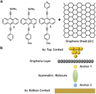 Graphical abstract: Orientational control of molecular scale thermoelectricity