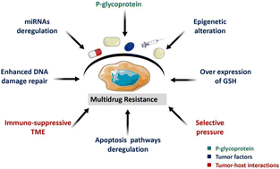 Graphical abstract: Advances in nanobiotechnology-propelled multidrug resistance circumvention of cancer