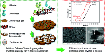 Graphical abstract: Strategy for the synthesis of zeolite Y by artificial-fish-reef breeding negative crystals