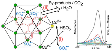 Graphical abstract: Catalytic reactions in a Co12 cuboctahedral cage arising from guest encapsulation and cage-based redox activation