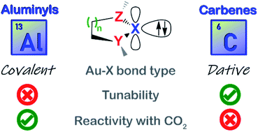 Graphical abstract: Unraveling differences in aluminyl and carbene coordination chemistry: bonding in gold complexes and reactivity with carbon dioxide
