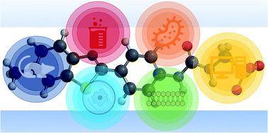 Graphical abstract: Establishing the selective phospholipid membrane coordination, permeation and lysis properties for a series of ‘druggable’ supramolecular self-associating antimicrobial amphiphiles