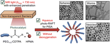 Graphical abstract: An aqueous photo-controlled polymerization under NIR wavelengths: synthesis of polymeric nanoparticles through thick barriers