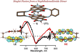 Graphical abstract: A highly contorted push–pull naphthalenediimide dimer and evidence of intramolecular singlet exciton fission