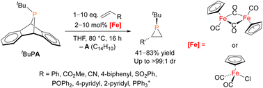 Graphical abstract: Synthesis of phosphiranes via organoiron-catalyzed phosphinidene transfer to electron-deficient olefins