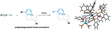 Graphical abstract: Heterocyclic Suzuki–Miyaura coupling reaction of metalla-aromatics and mechanistic analysis of site selectivity