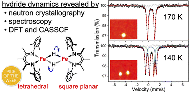 Graphical abstract: Dynamic effects on ligand field from rapid hydride motion in an iron(ii) dimer with an S = 3 ground state