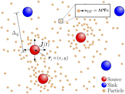 Graphical abstract: Two-dimensional diffusiophoretic colloidal banding: optimizing the spatial and temporal design of solute sinks and sources